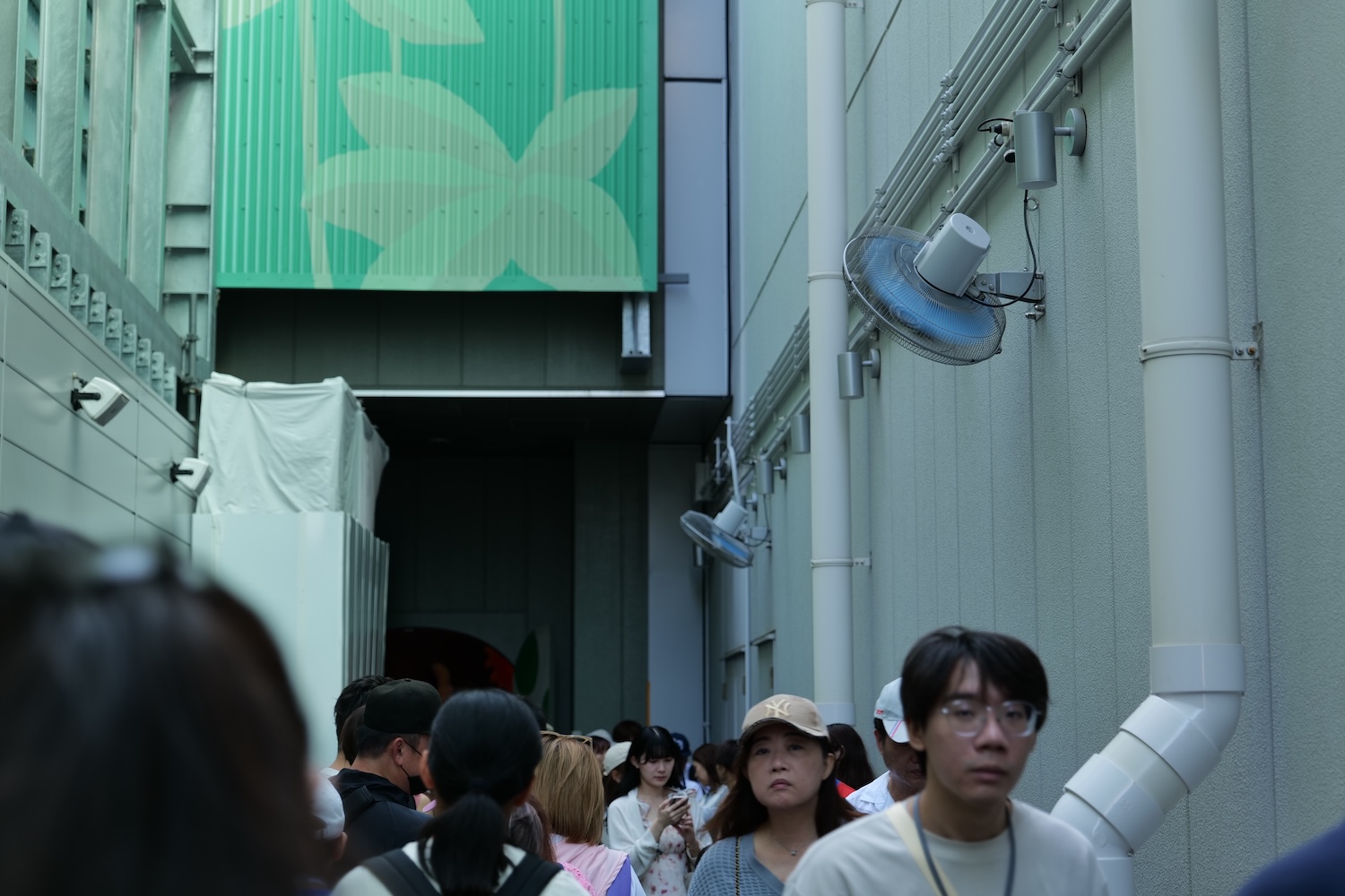 d09115966b4e6bf9c691.jpg