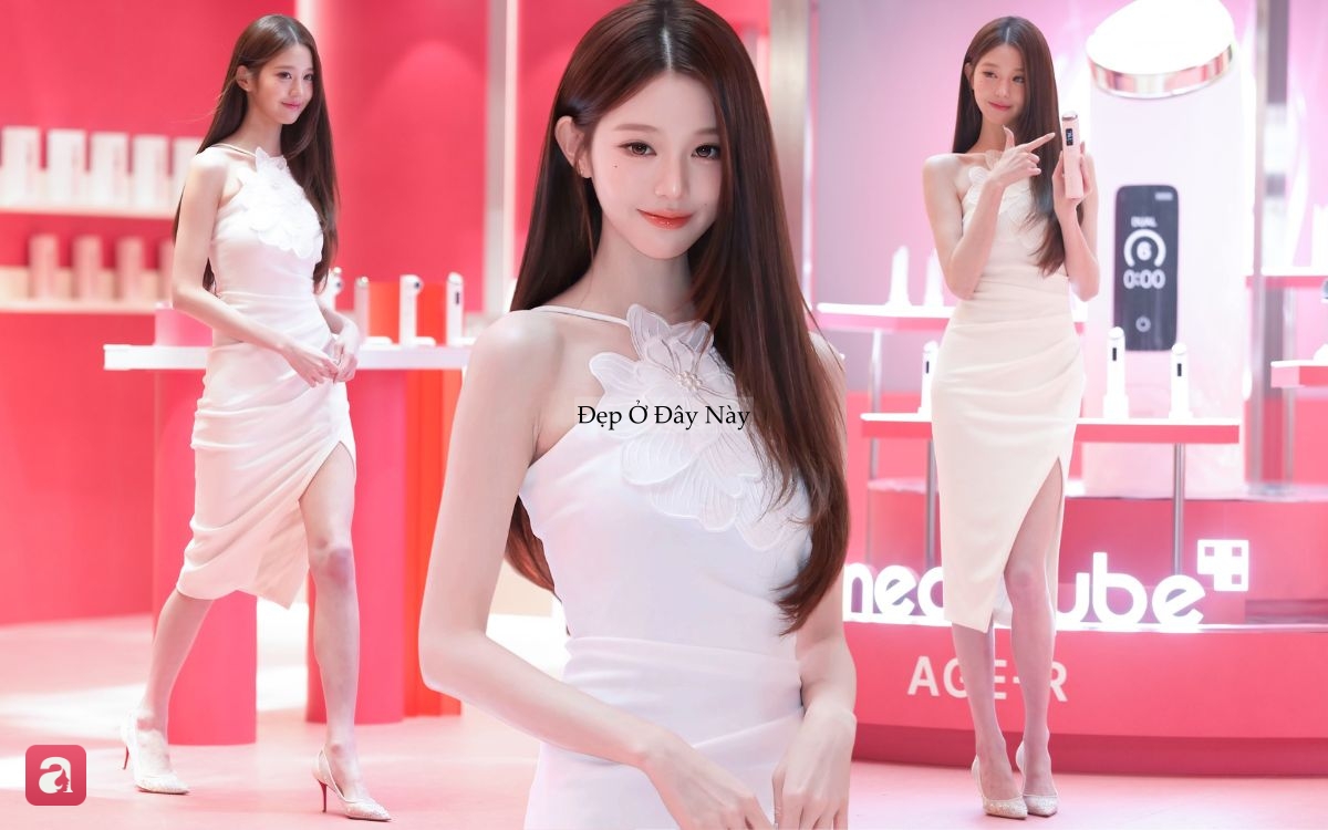 d0986d5b36ffad15cb8c.jpg
