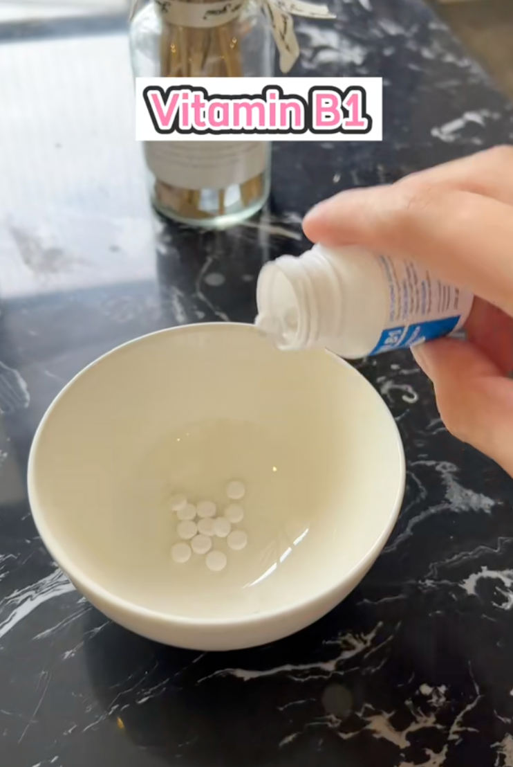 d0b93820b410fdbf4667.png