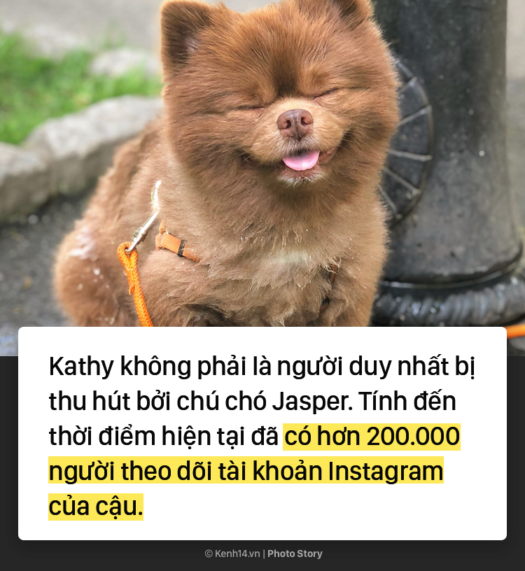d0c7b1af5fd93d3f61a1.png