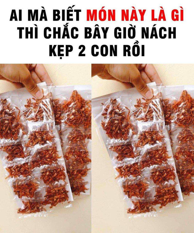 d0e1ee231f6a983b6855.jpg