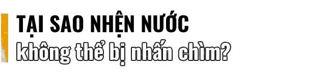 d0ec970c39af8416753c.png