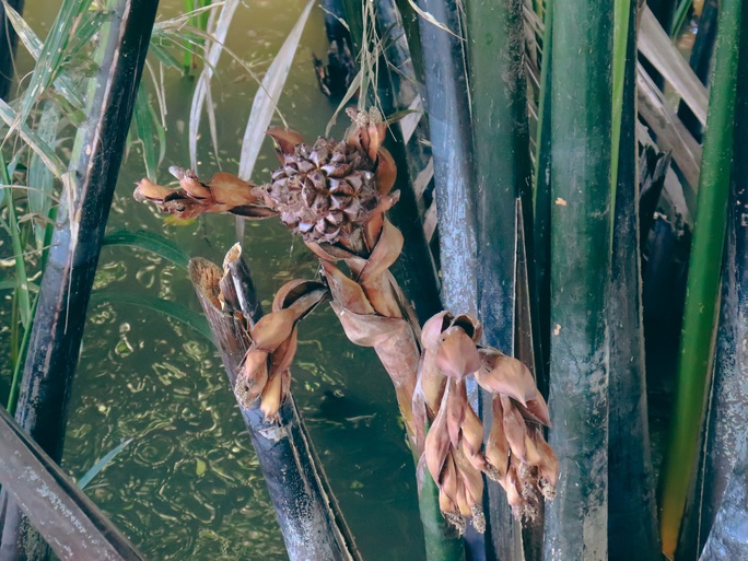d0f90a0e761f1ec30de0.jpg
