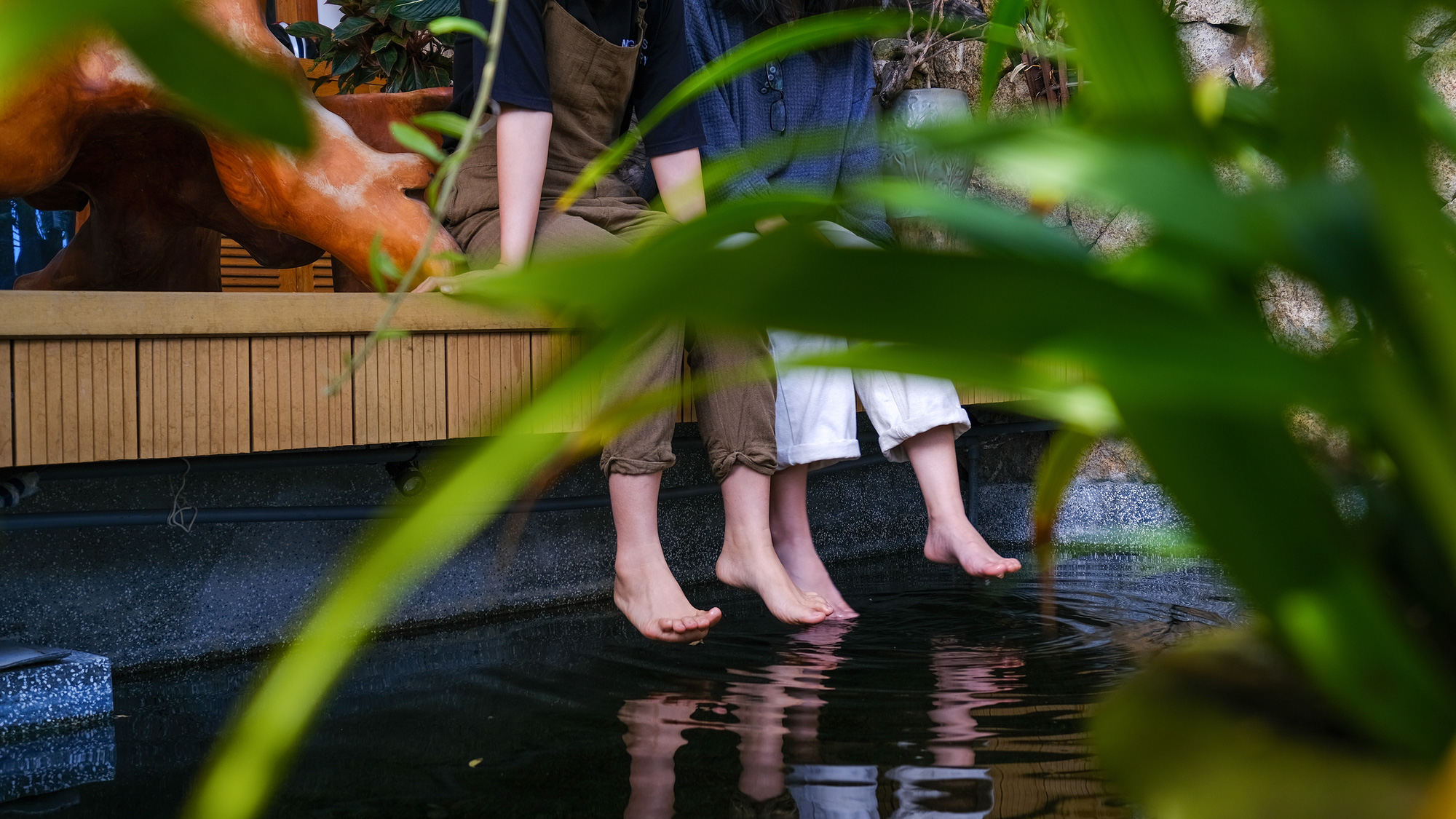 d106f358ffcdc83c2792.jpg