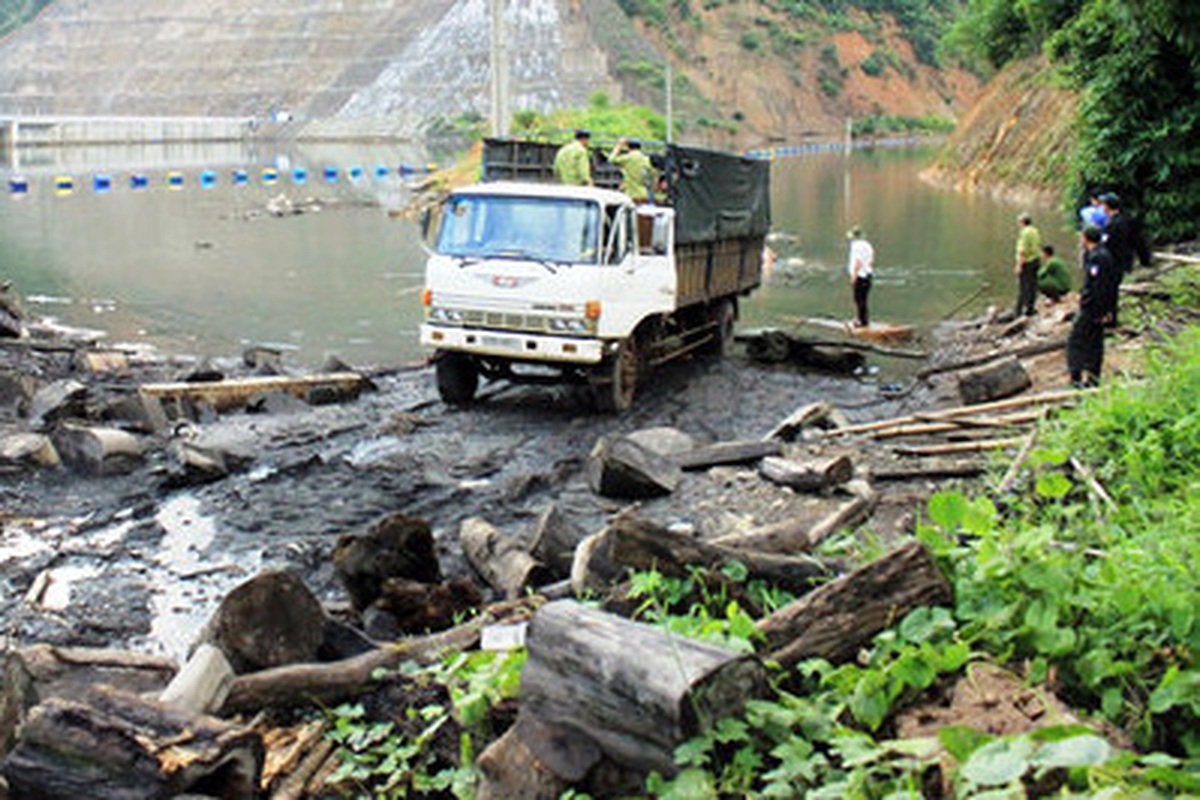 d10782463ce211be7261.jpg