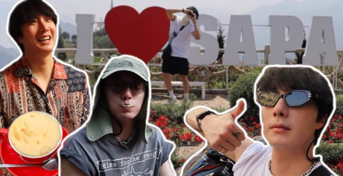 d10fc12f0f36d366c1fa.jpg