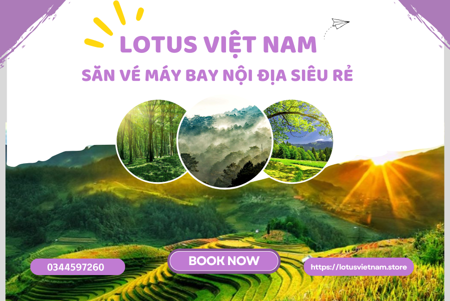 d1618273ac9a51d45c46.png