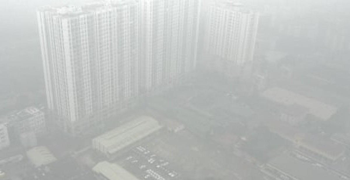 d163ec6f8269af092a5f.jpg