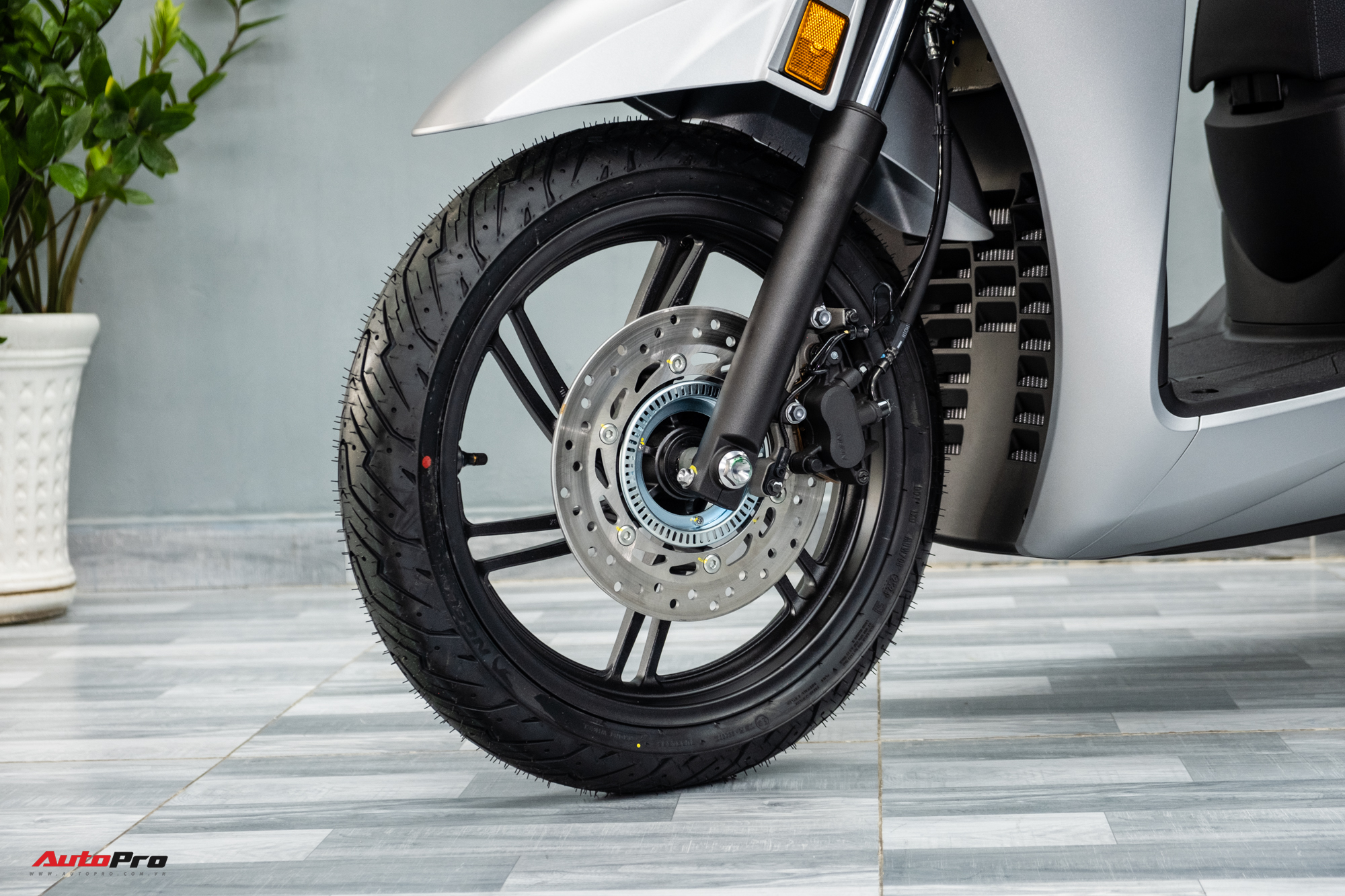 d17fb6a8fd18ad6edc71.jpg
