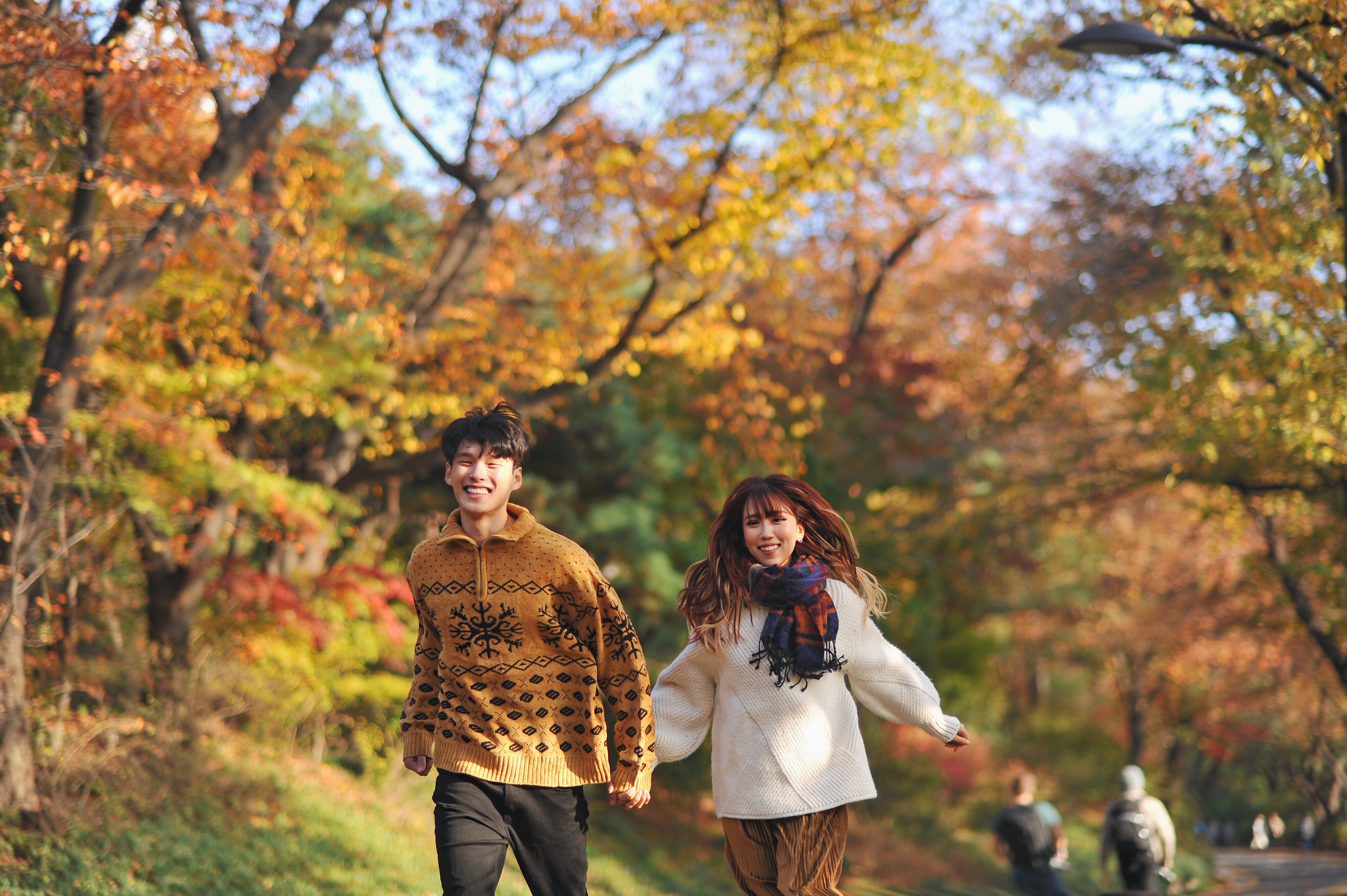 d18e368bba3fb33dfd8d.jpg