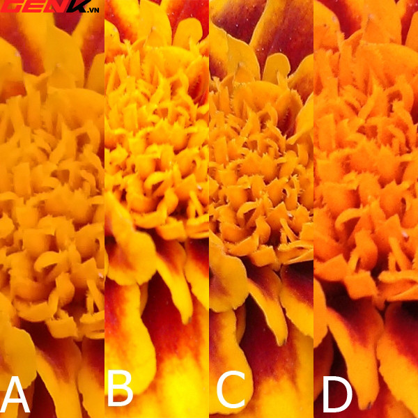d19529485c954117c880.jpg