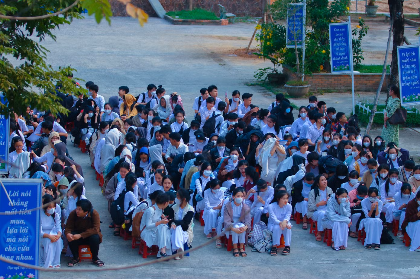 d1971c587adf974fbdd8.jpg