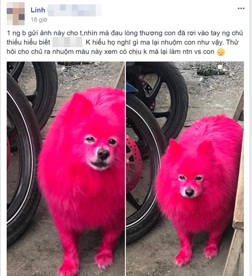 d19ac0e7b74d129576e9.png