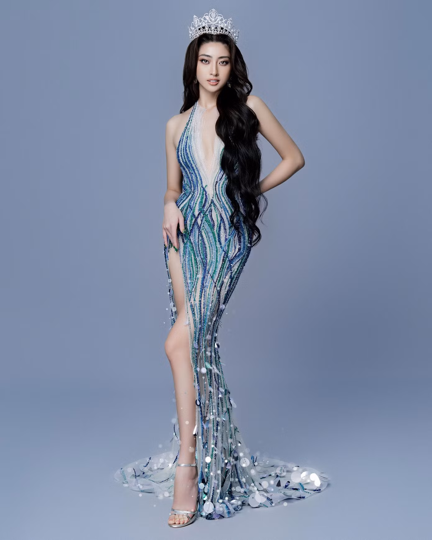 d1b66a1c50d0ddd72f47.jpg