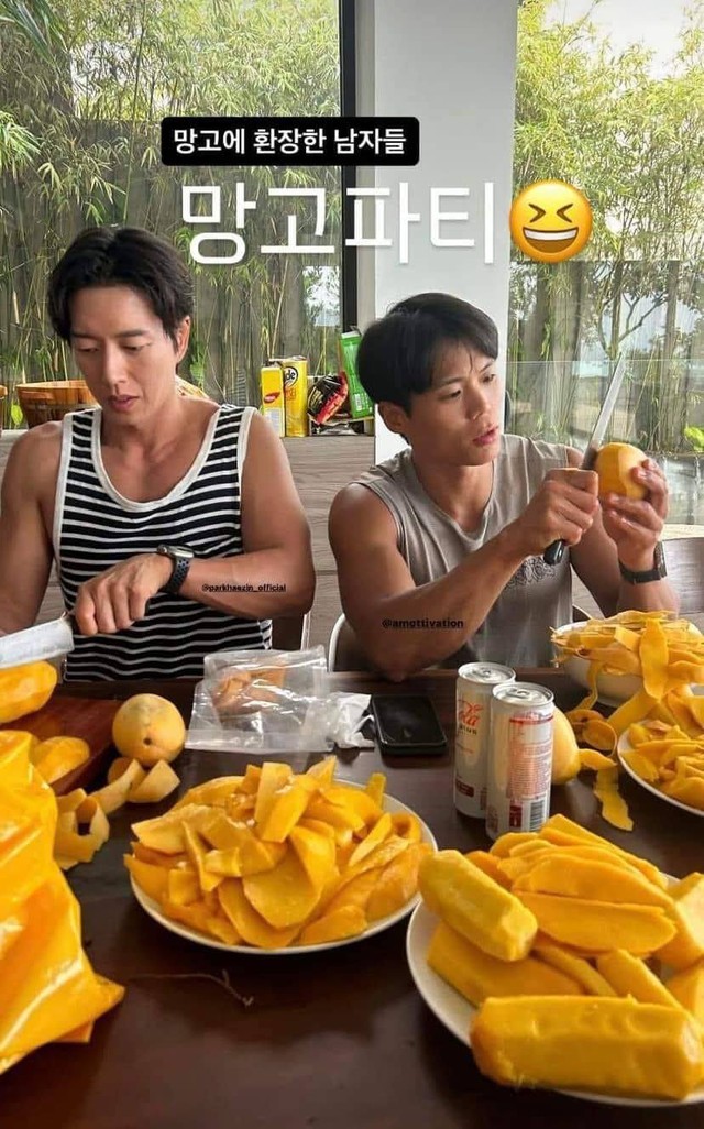 d1e084c21ca633b08b35.jpg