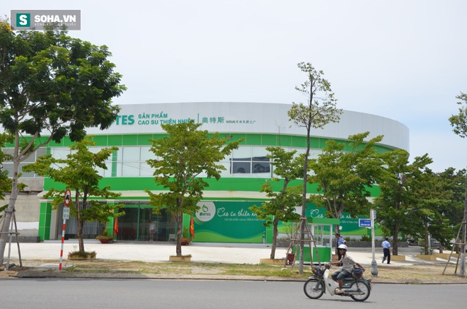 d1e1667d31131d54a948.jpg