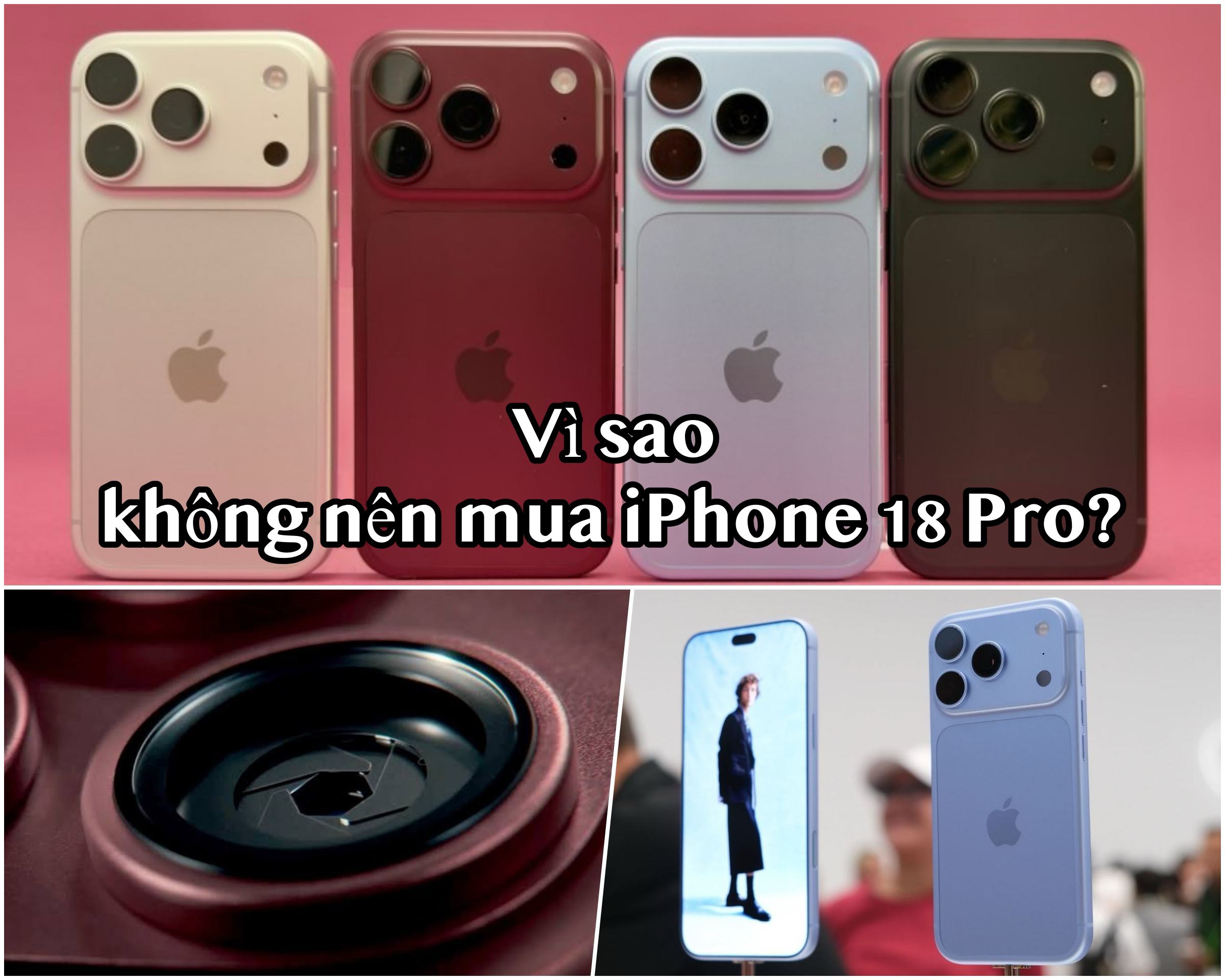 d1e5ab8409b17a01a1b7.jpg