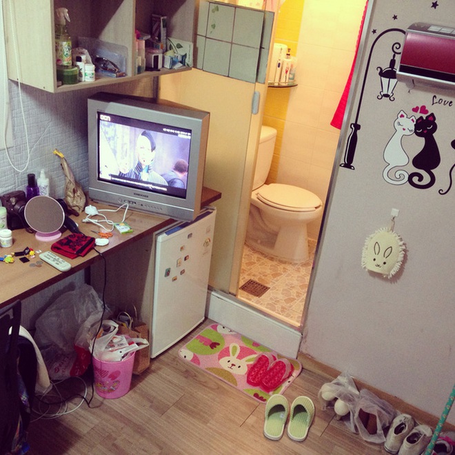d20d566bdfe8449e70a0.jpg