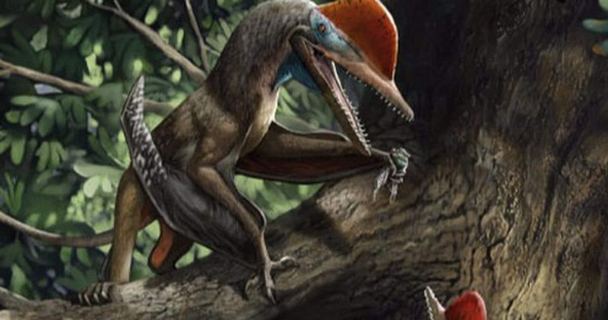 d2395fd4c3bdbbf154a6.png