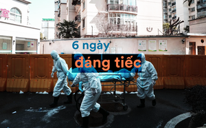 d2422ebeb02559682091.png