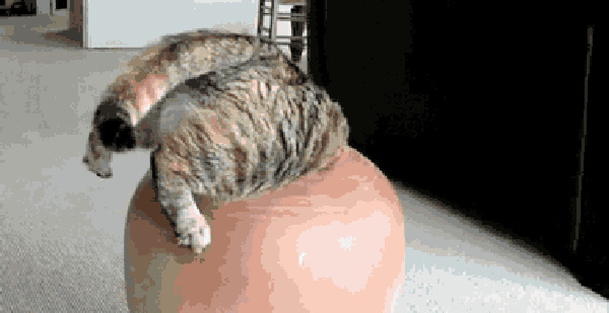 d2520ab0e98ce061dadb.jpg
