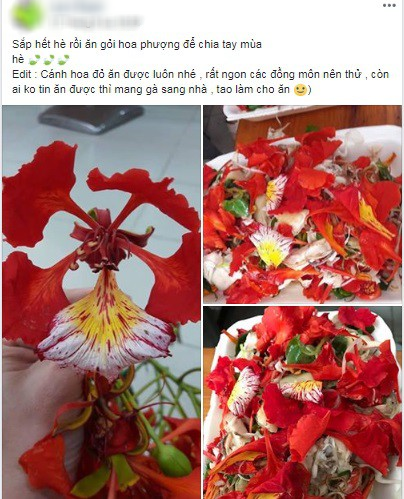 d2719f7deb3e40205e54.png