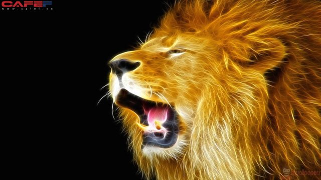 d27392a4f9ccda01688d.png
