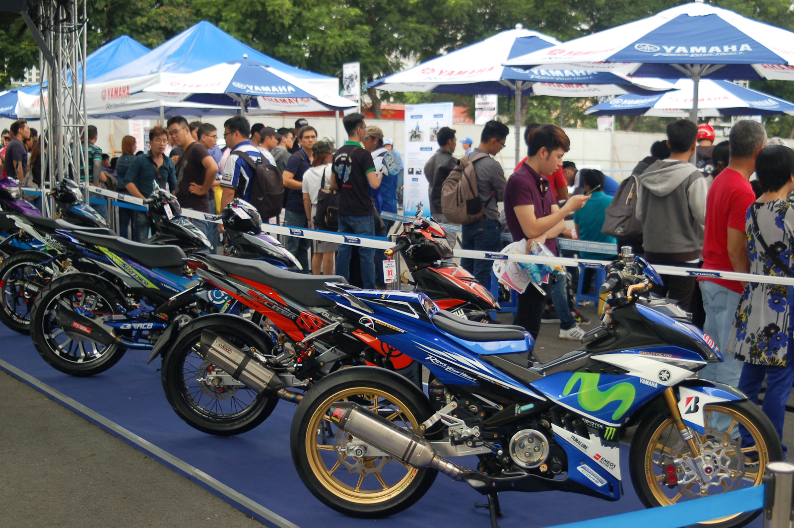 d27bad2fd3429ce45284.jpg