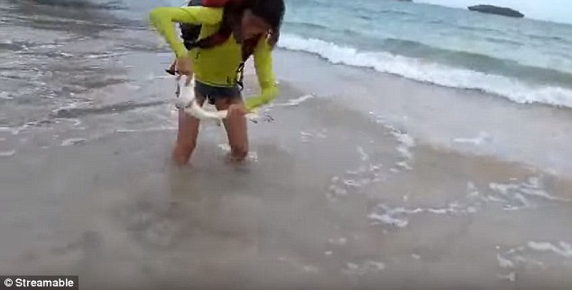 d2b5df8ec6c6c3c488f7.jpg