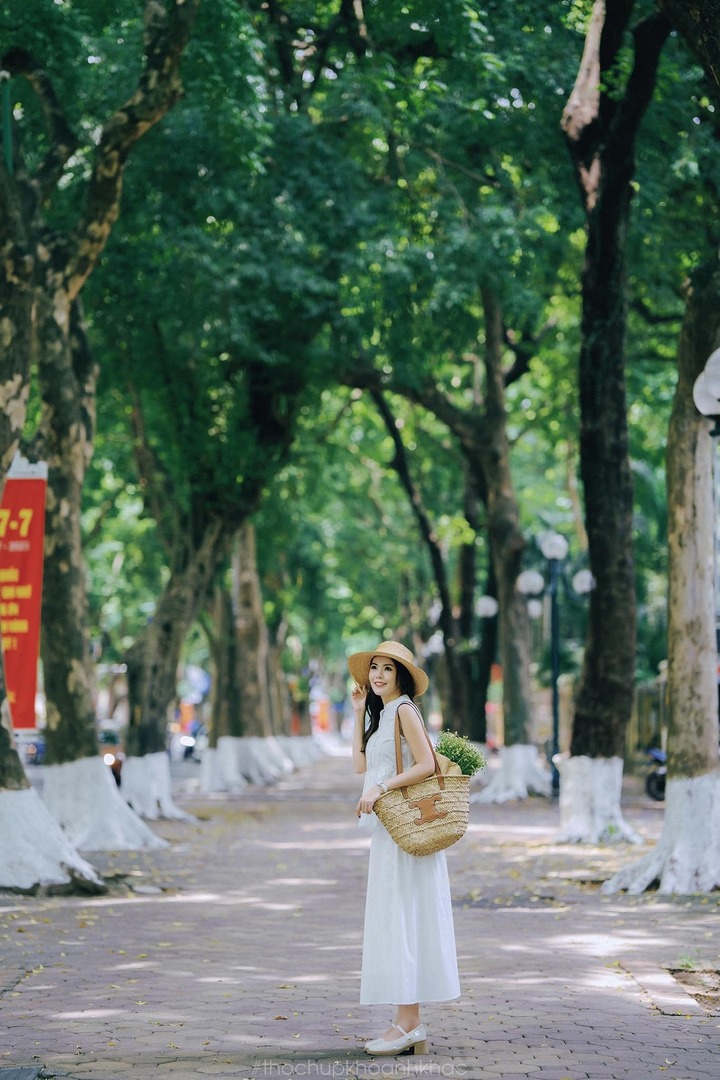 d2d09aafe8a2507025db.jpg