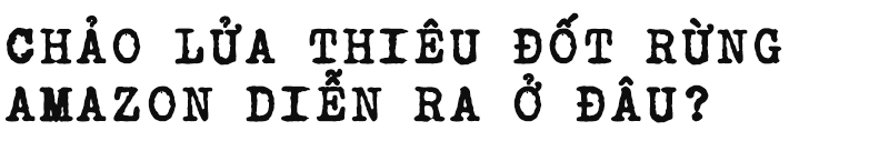 d2dd99563badf23d0d89.png