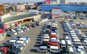 d30398dfb2a9af49de4f.jpg