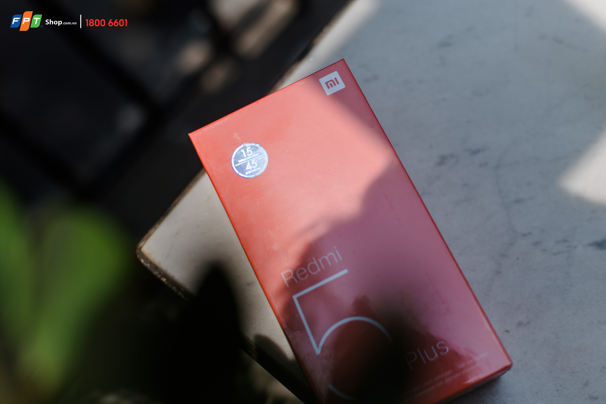 d30722d92eb9e5ba1f43.jpg