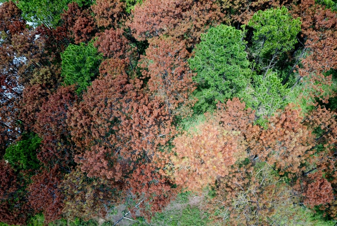 d3254b8ed9f792806fa7.jpg