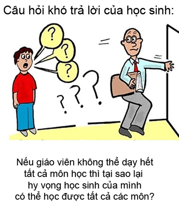 d337d36d84107e26b760.jpg