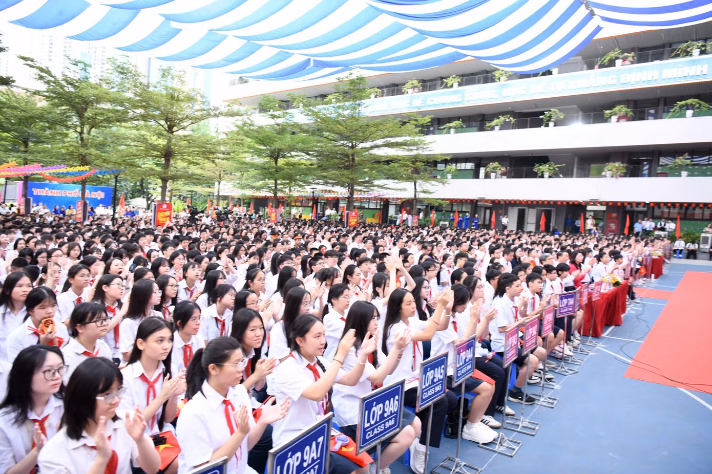 d3590b34abe38ac8995c.jpg