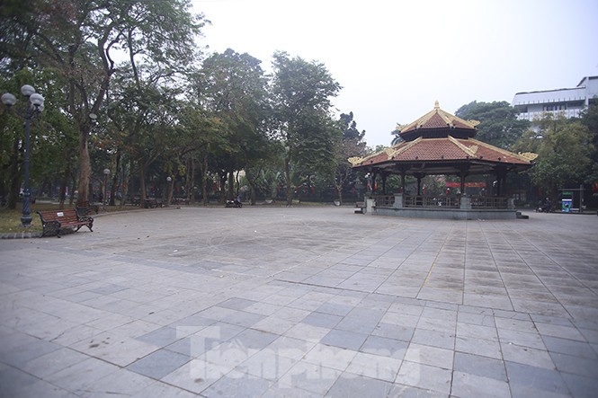 d386192fa18462e53738.jpg