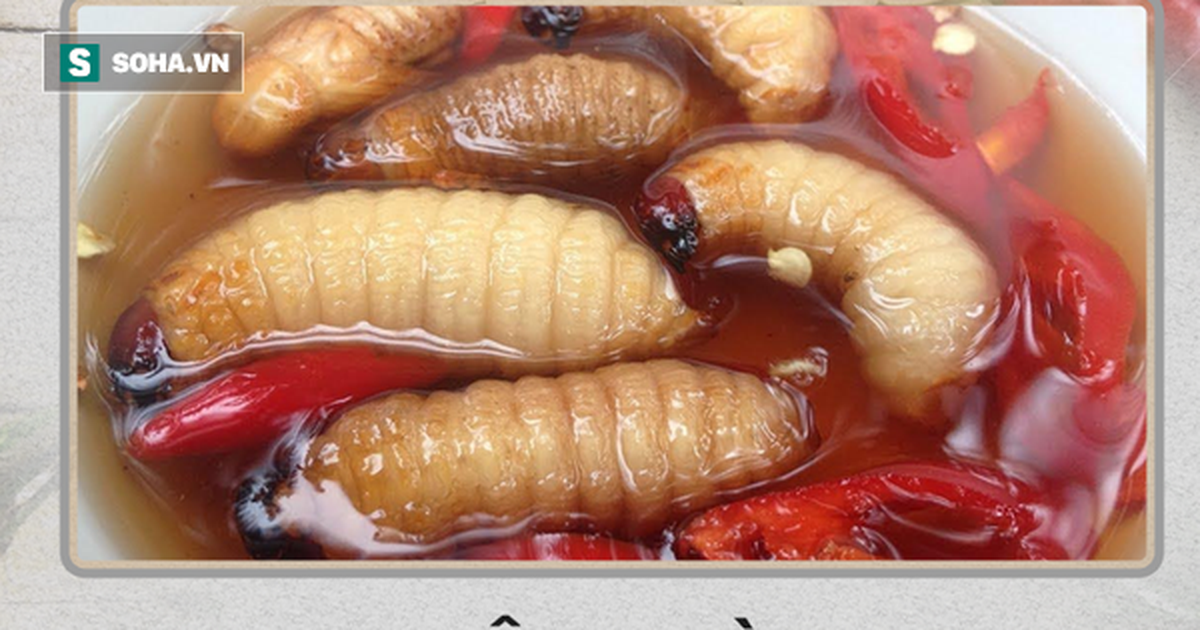 d39a043d8765f2c8d436.png