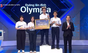 d3bdd70ddf08a8cb73d9.jpg