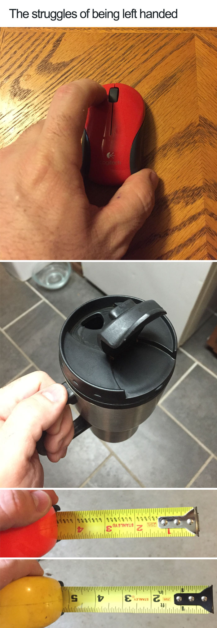 d3c3231fe56a33c6566b.jpg