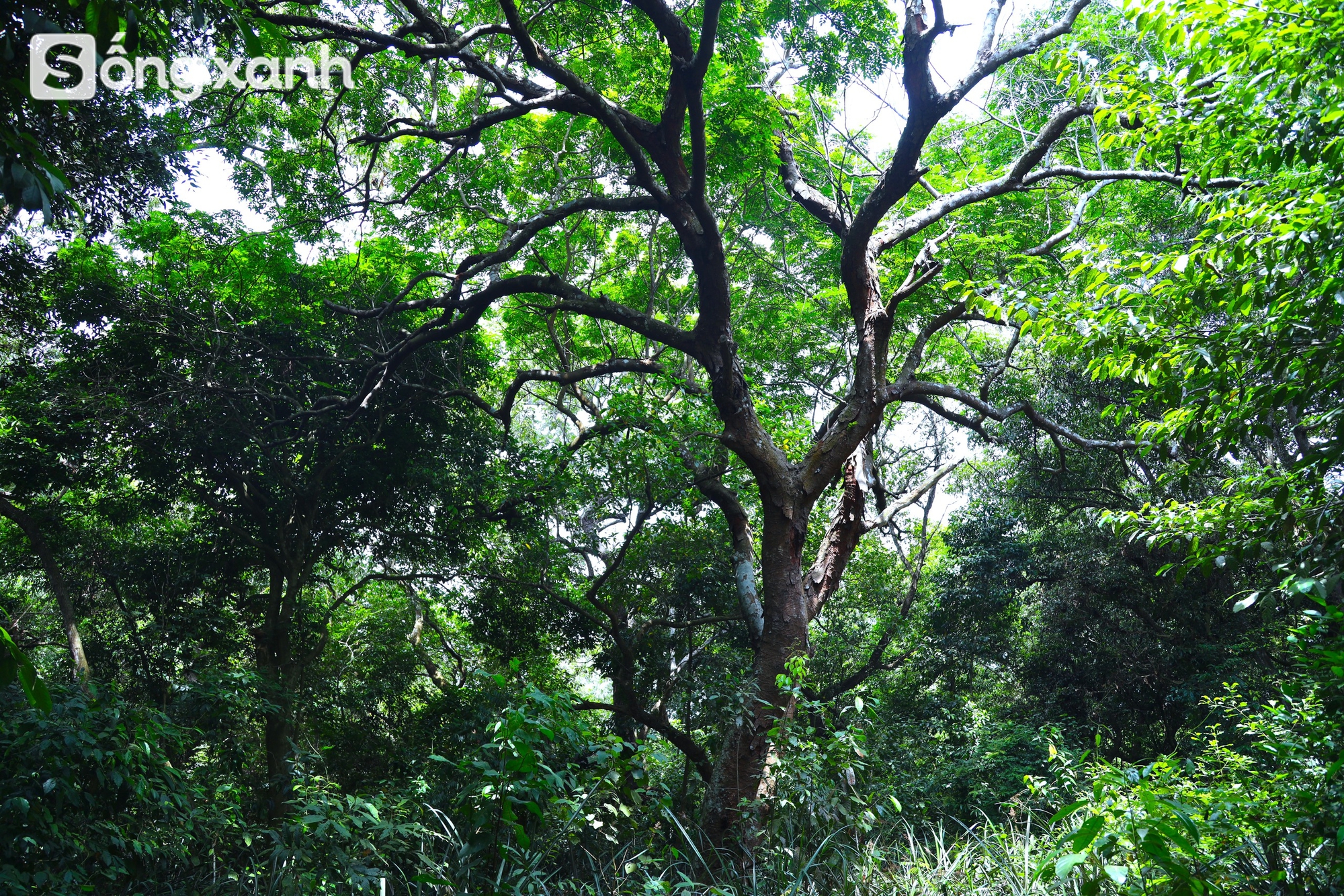 d3c737786cbeb47ce66b.jpg