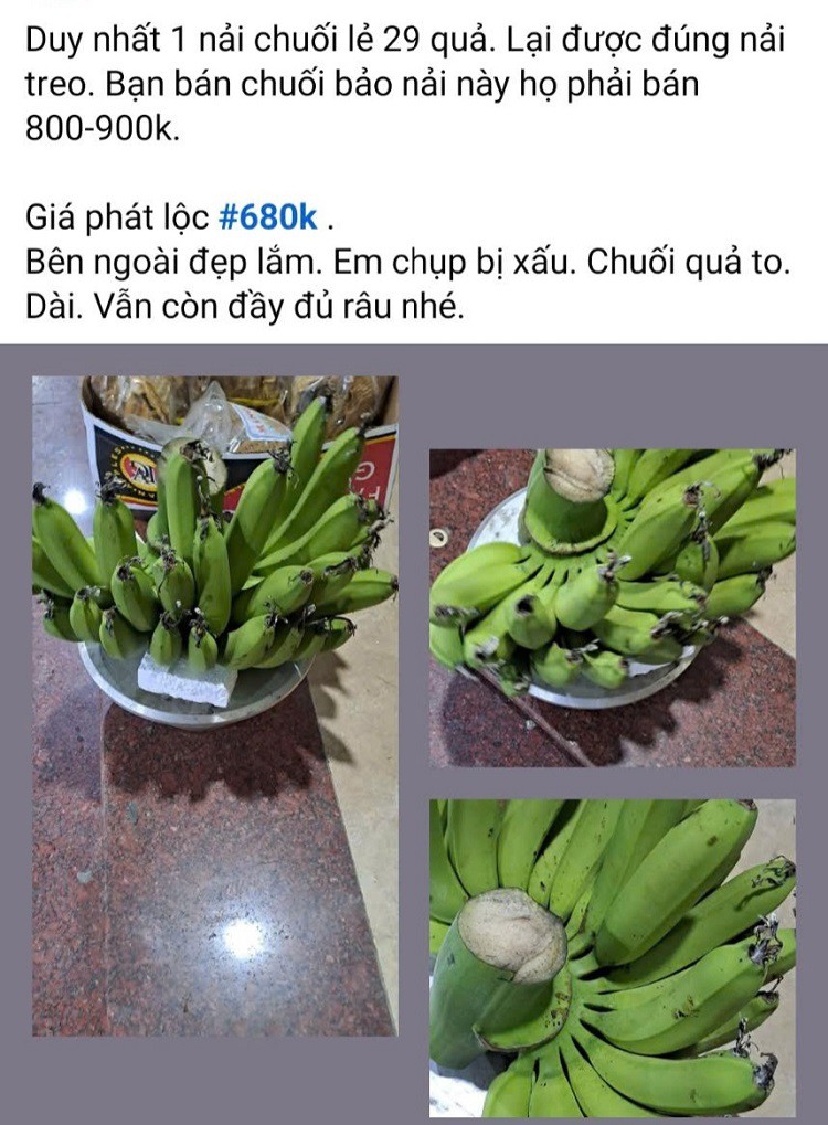 d3dea9f9010fde70c1e4.jpg