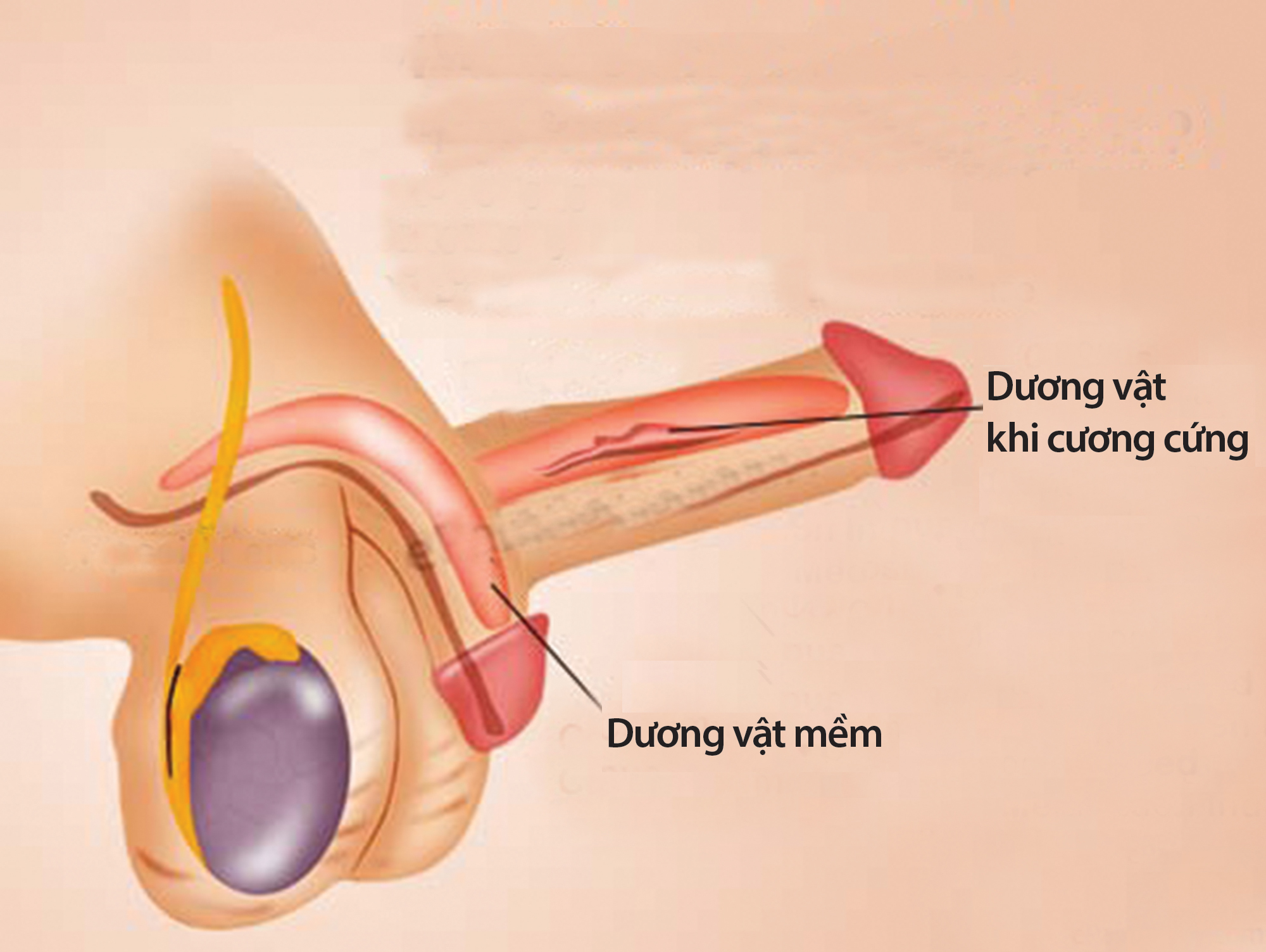 d402e06d307bb9bc6059.jpg