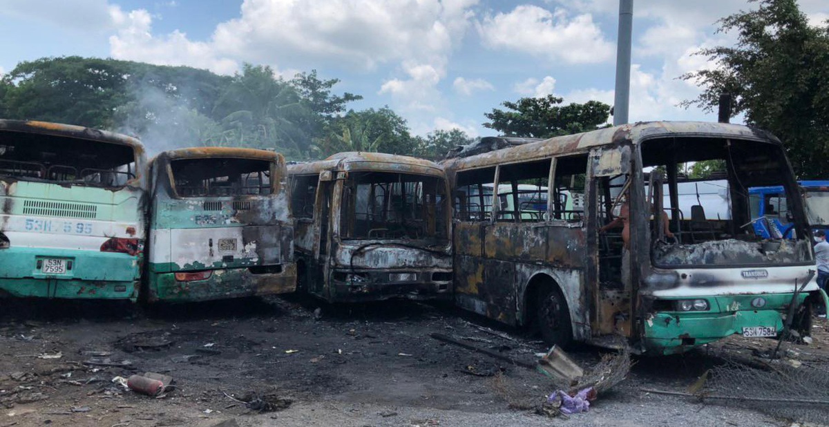 d415d68dfffcd96a31ec.jpg