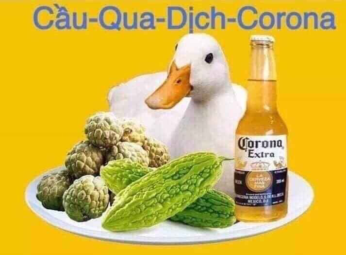 Lạy chúa, câu chuyện này sao mà drama quá trời!