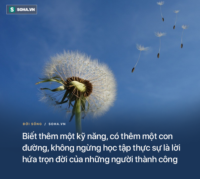 d471ac766bff694121e8.png