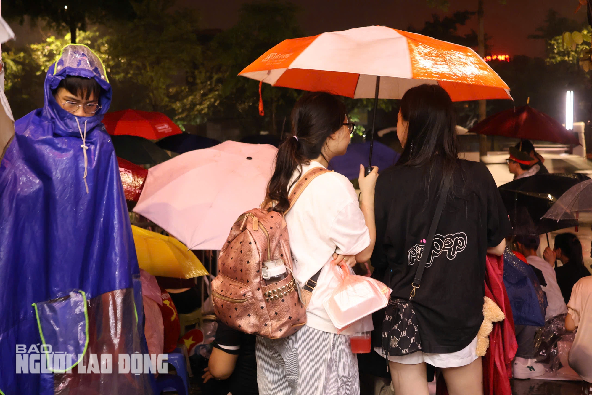 d4781c72abe7a61cedaf.jpg