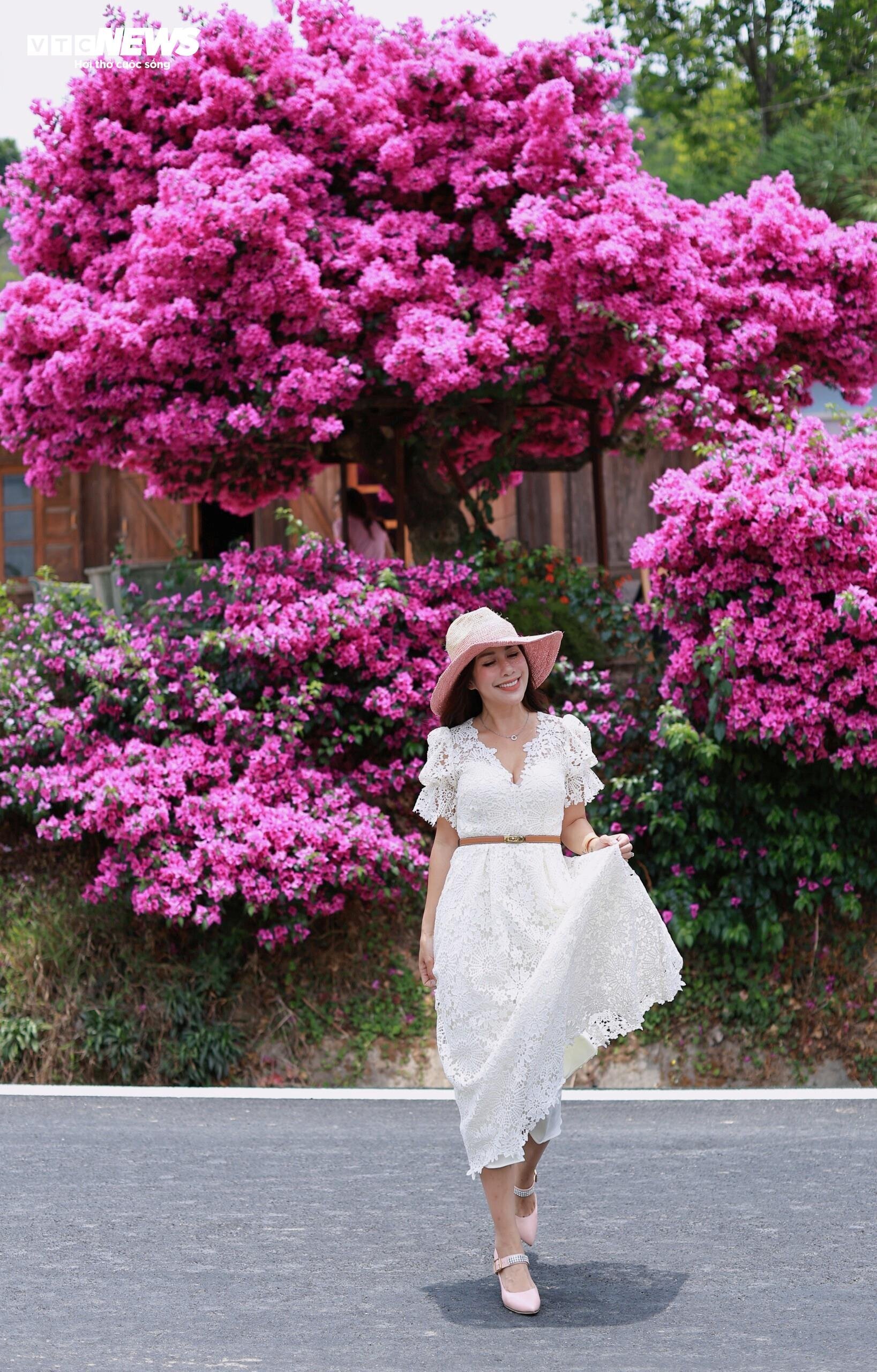 d479597ba86c2f48516f.jpg