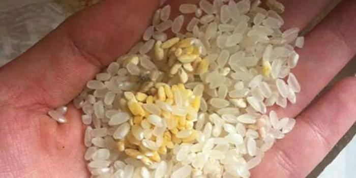 d47de6429cef5699e966.png