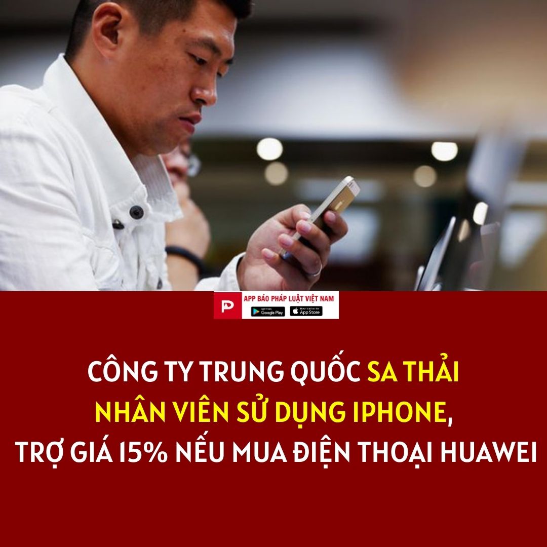 d4ae678c31ba0ab6282a.jpg